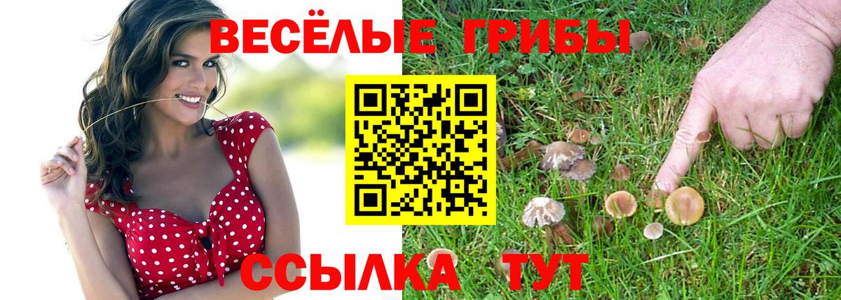 Псилоцибиновые грибы ЛСД  Вход с VPN  Луховицы 
